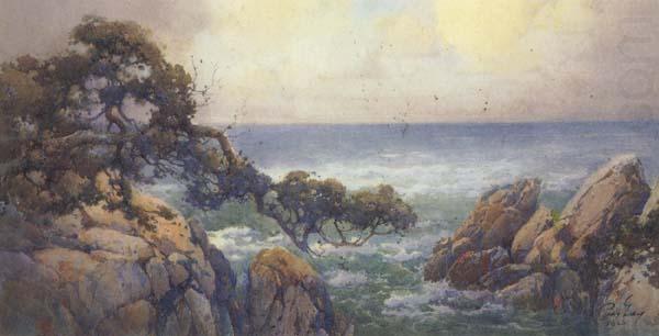 unknow artist Cypress Trees on the Monterey Coast china oil painting image